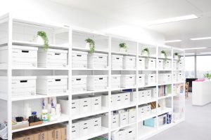 執務エリアの壁際には白で統一されたラックと収納が並ぶ。観葉植物も置かれ、清潔感のあるオフィスをさらに引き立てている