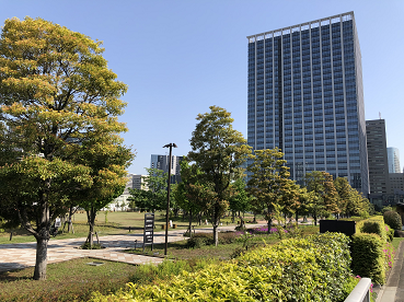 芝浦中央公園と品川シーズンテラス